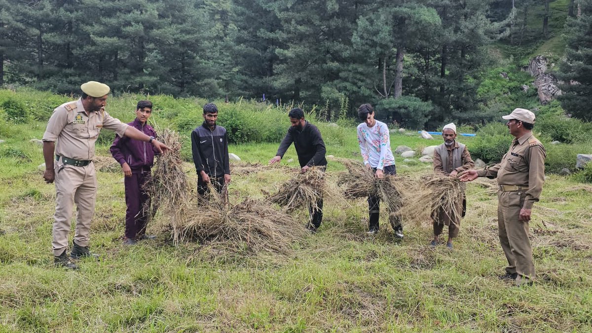 peerzada_riyaz's tweet photo. Under Deliverable Forests for Fodder locals provided with  green Fodder for their Livestock in Veshew Forest Range. https://t.co/Eo5YtVmQ69
