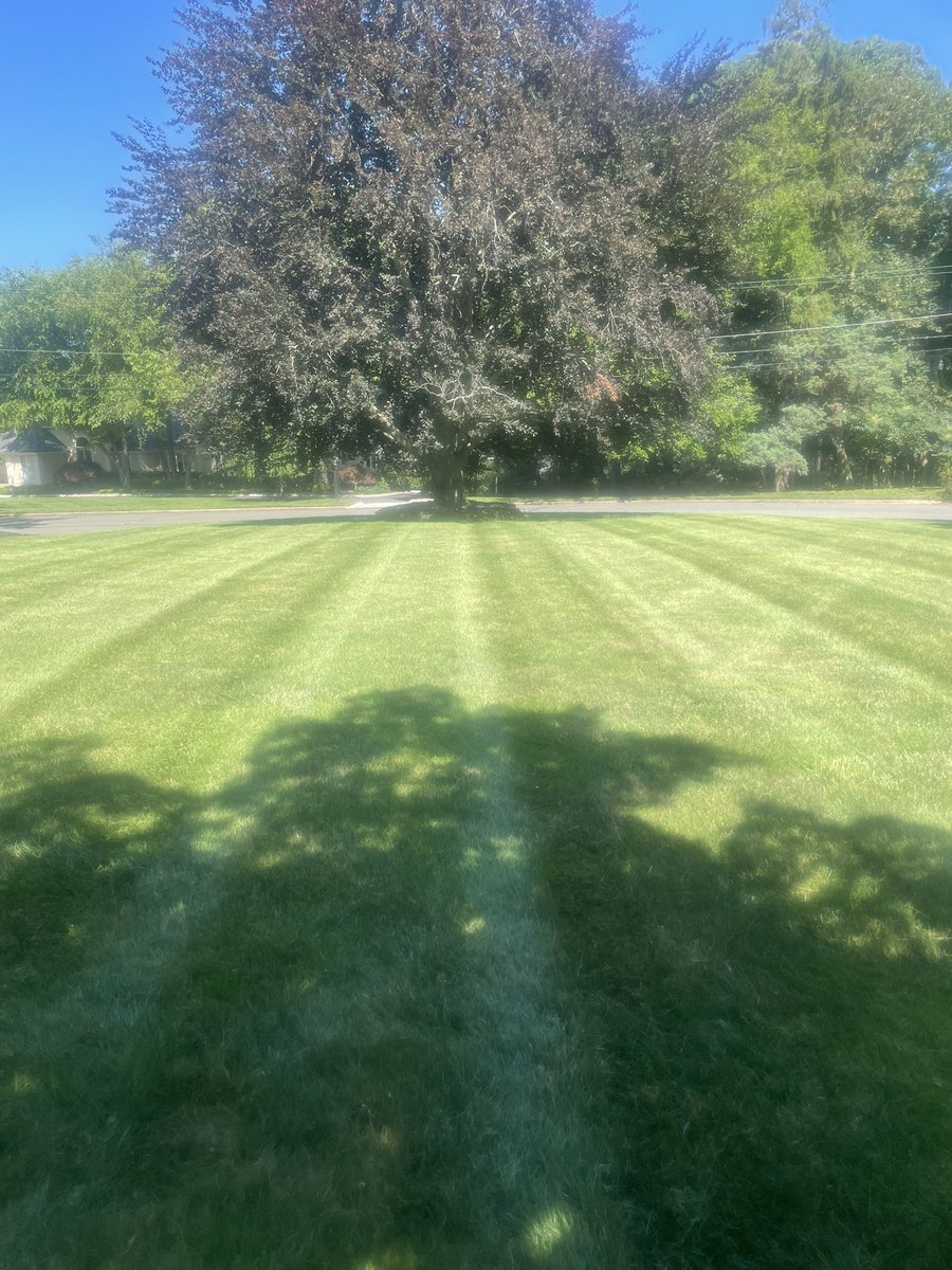 This one came out alright yesterday. 

#patchoftheday