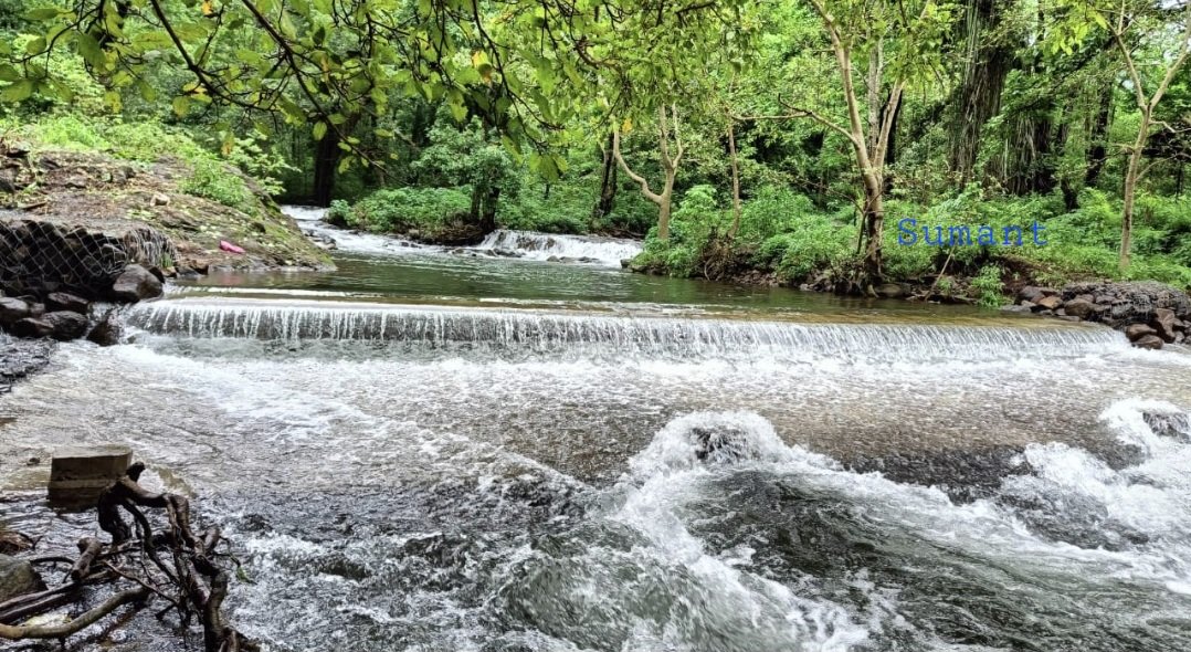 jayotibanerjee's tweet photo. Melghat is famed for Monsoons;
the water flows in tumultuous streams,looks great but risks a lot of erosion &amp; landslips
DCF Sumant is tackling this by
Use of:
Cross Bunds to facilitate runoff to prevent erosion
Gabions to stabilize the banks &amp;prevent erosion
#MelghatTigerReserve https://t.co/du5dKTvXoy