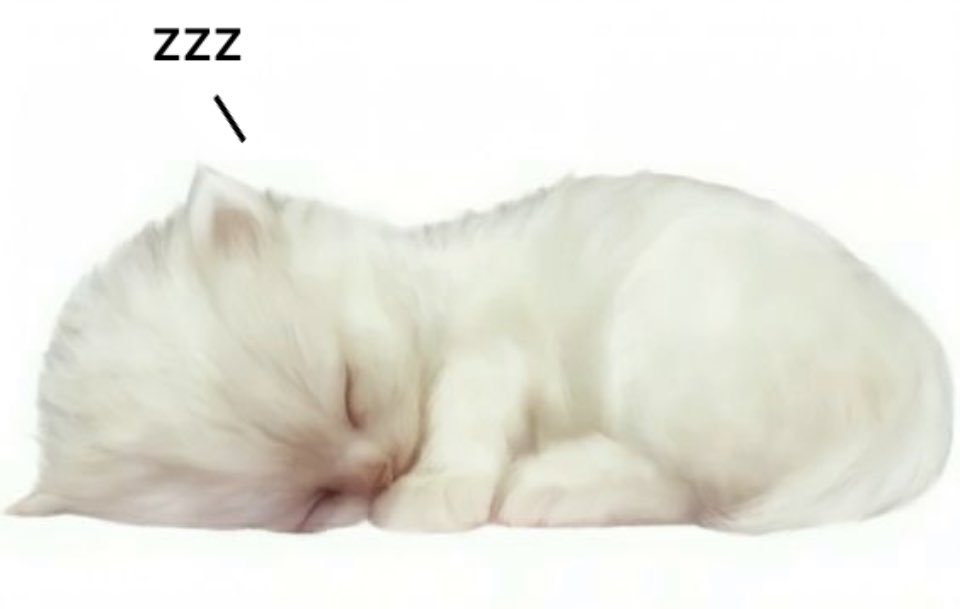 cat archives tweet media