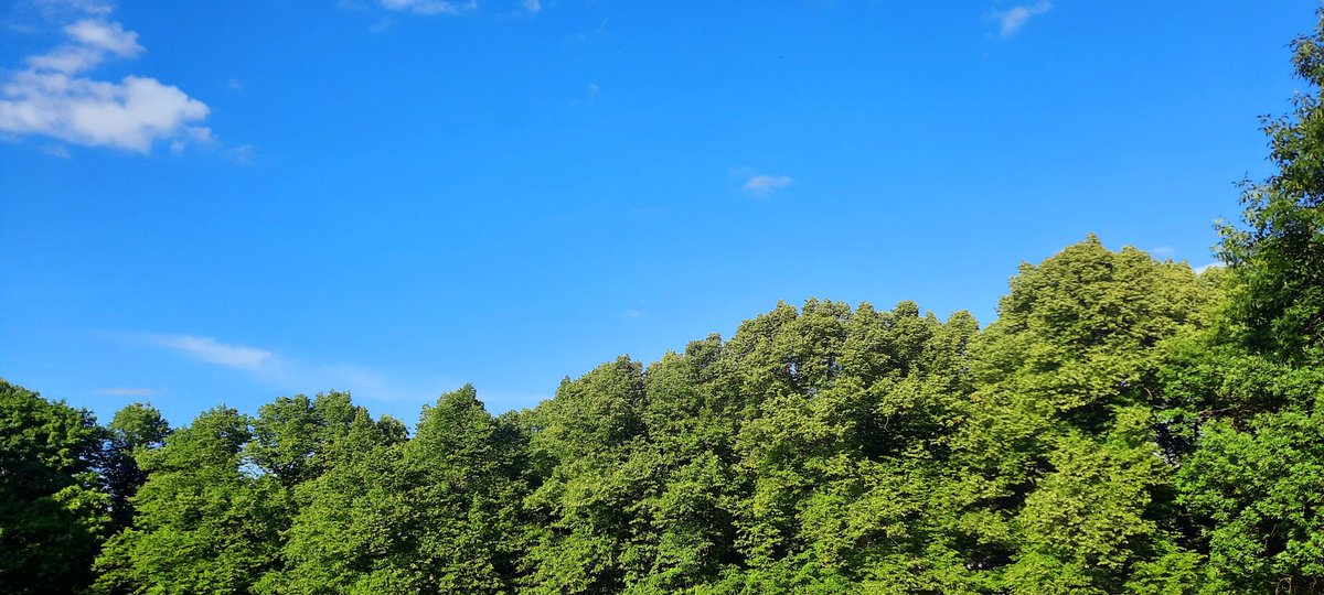 Grīziņkalns un chill. 😎