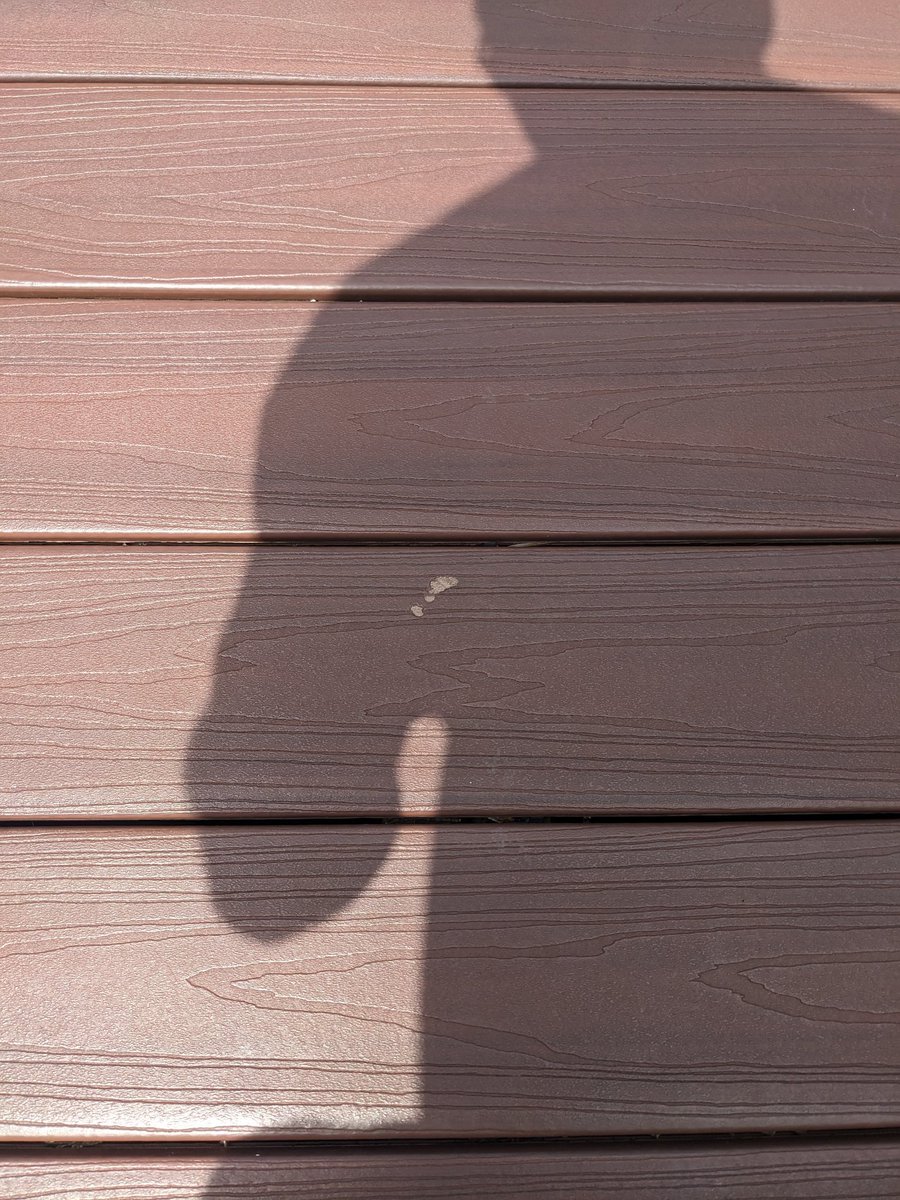 Bruce Butler tweet media