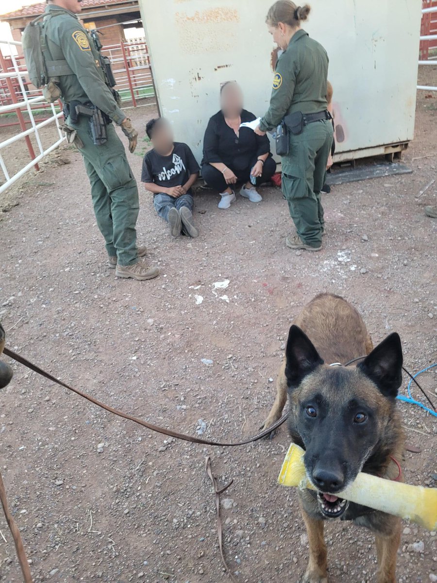 USBPChiefTCA's tweet image. 7/18: In a collaborative effort, a Douglas Station #K9Team and #ATVs tracked and arrested three migrants that were concealed inside a conex box near the border in Douglas, AZ.  Our K9 partners work exceptionally hard to find concealed humans and narcotics!