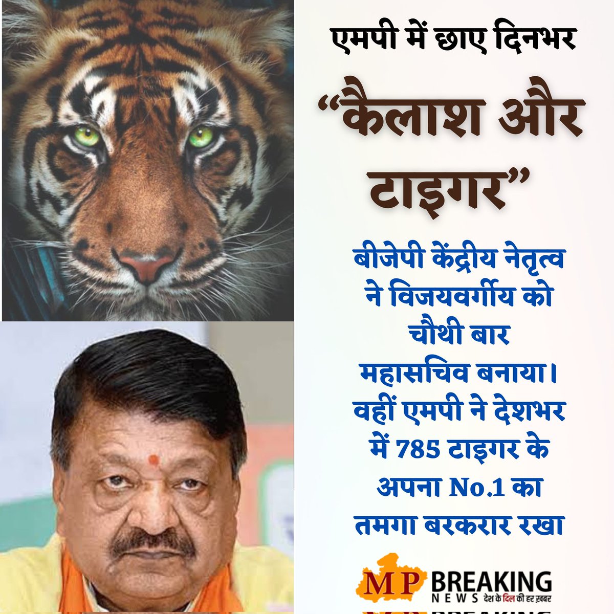 mpbreakingnews's tweet photo. बीजेपी केंद्रीय नेतृत्व ने विजयवर्गीय को चौथी बार महासचिव बनाया। वहीं एमपी ने देशभर में 785 टाइगर के अपना No.1 का तमगा बरकरार रखा...
@KailashOnline @BJP4India @BJP4MP @NTCAtiger
#Tiger #TigersinMP #BJP4IND https://t.co/RZxRGfgs7w