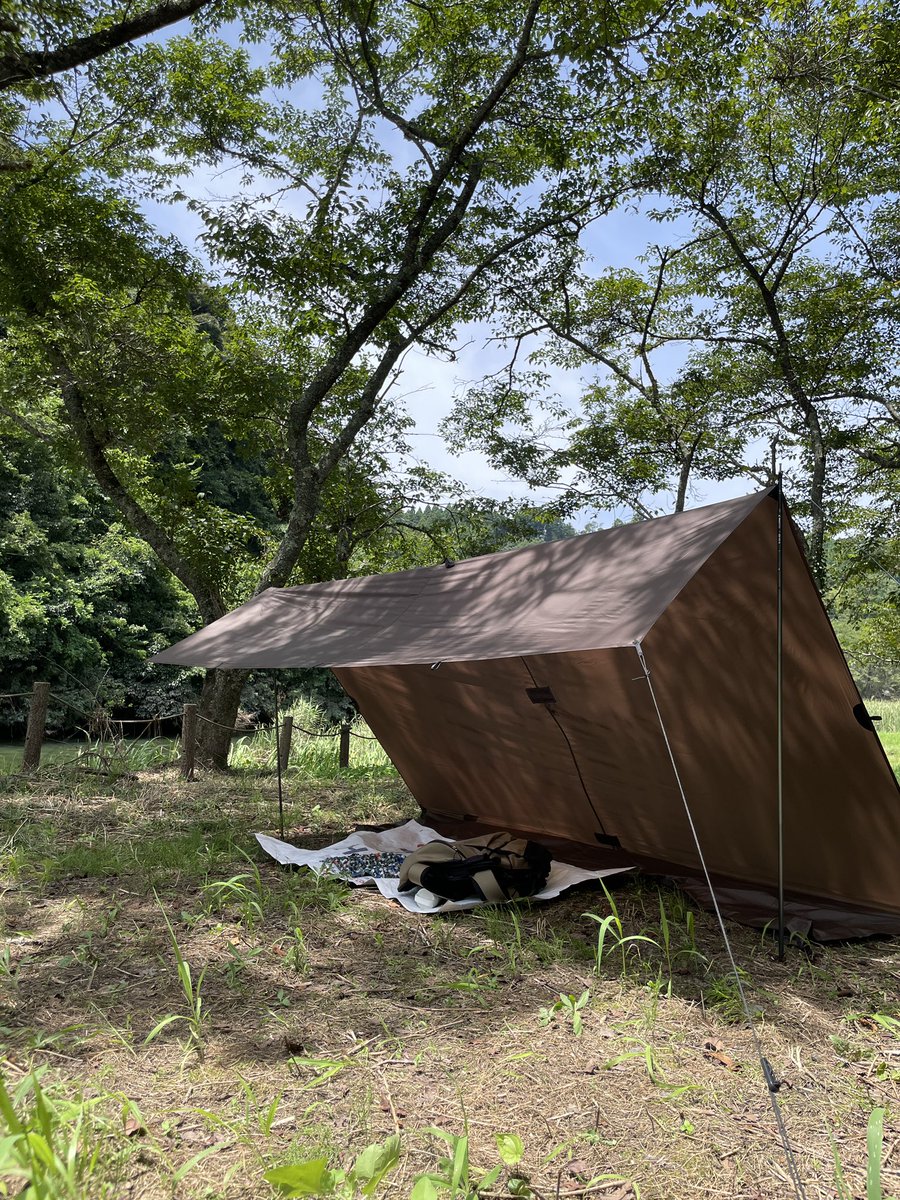camp_menry's tweet photo. Cフライ https://t.co/E5d2skovV7