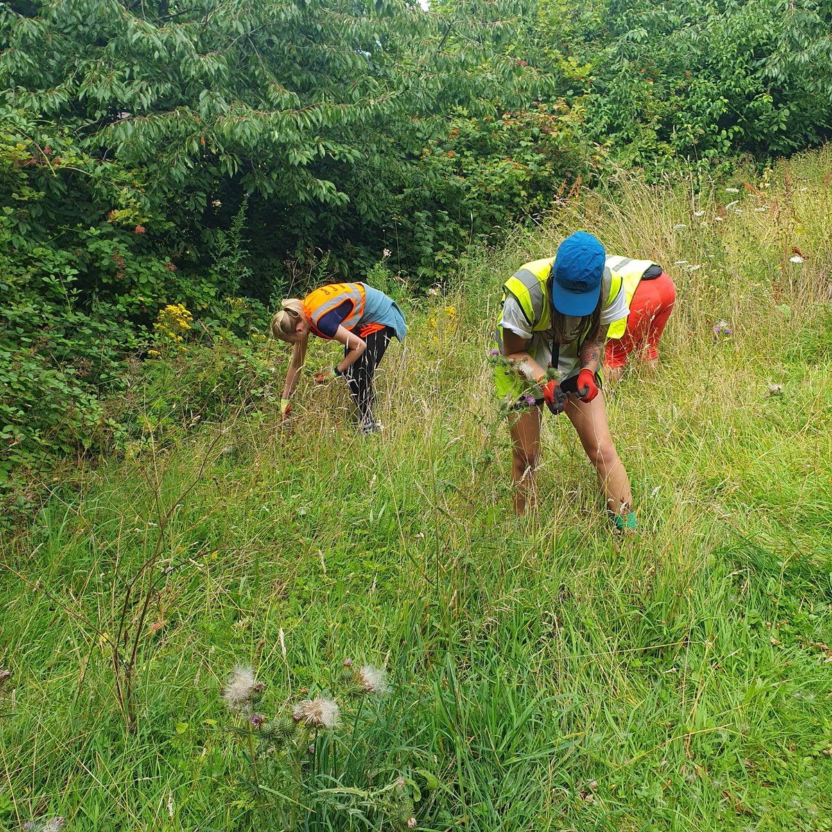 Chur Envi Volunteers tweet media