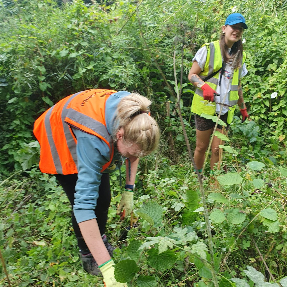 Chur Envi Volunteers tweet media