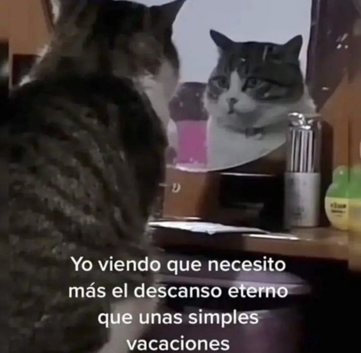 skereunpesado's tweet photo. https://t.co/DypDQdEUMy