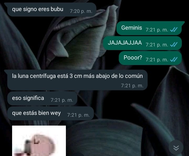 Cosas que dice Diego tweet media