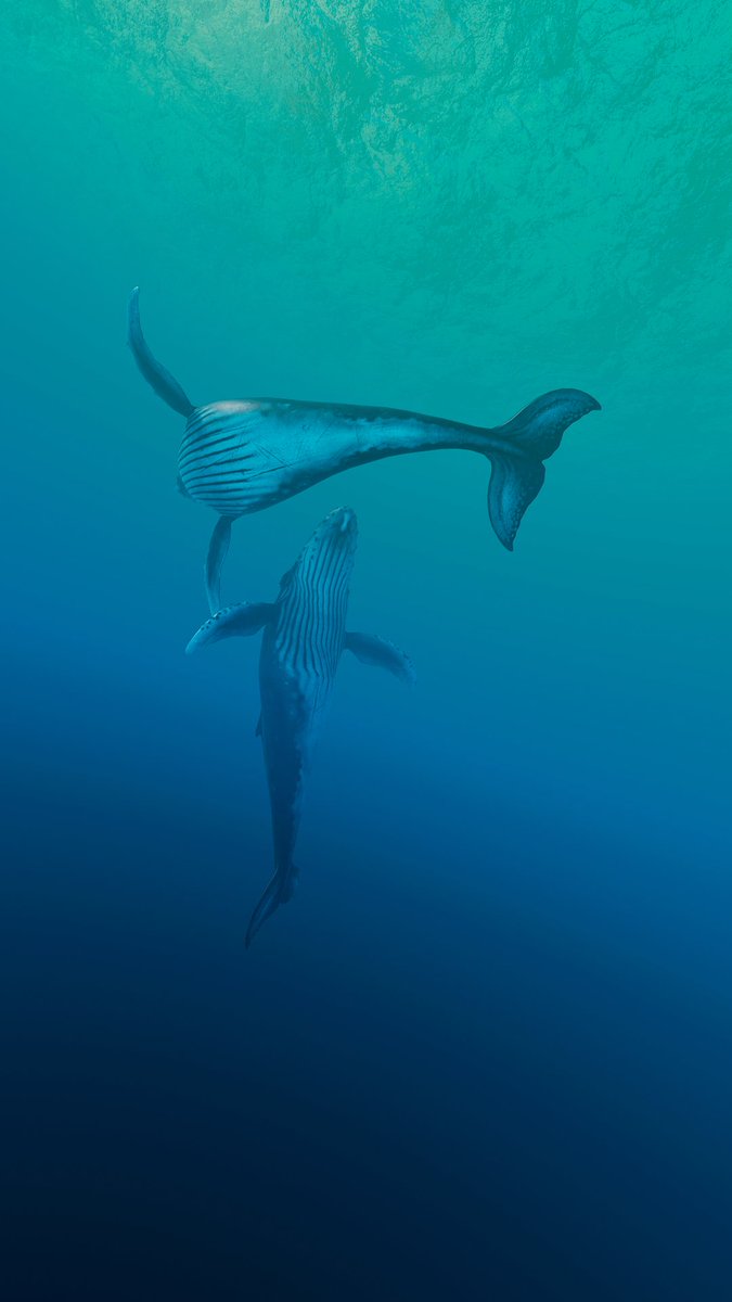 NeoFulcrum's tweet photo. Life on the ocean floor
🐋 #TCCUnderTheSea
🎮 #BeyondBluegame
#VirtualPhotography #TheCapturedCollective https://t.co/i9ArzeR59K
