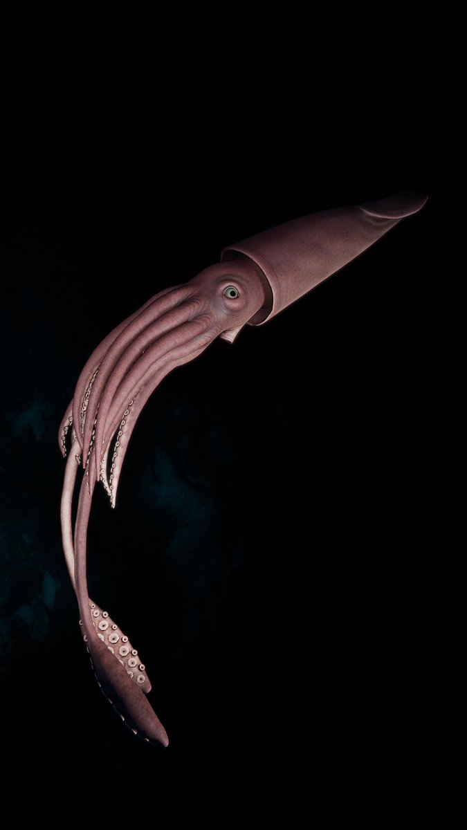 NeoFulcrum's tweet photo. Life on the ocean floor
🐋 #TCCUnderTheSea
🎮 #BeyondBluegame
#VirtualPhotography #TheCapturedCollective https://t.co/i9ArzeR59K