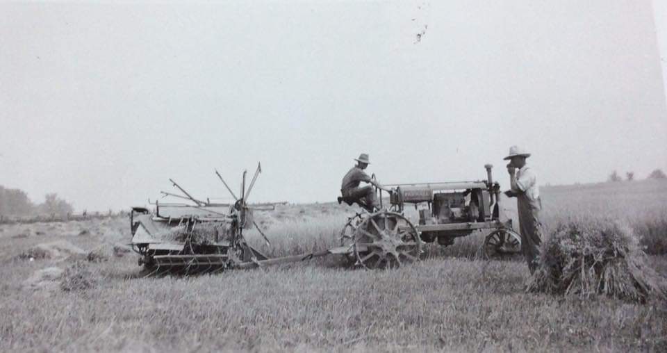 neil driscoll🇨🇦 tweet media