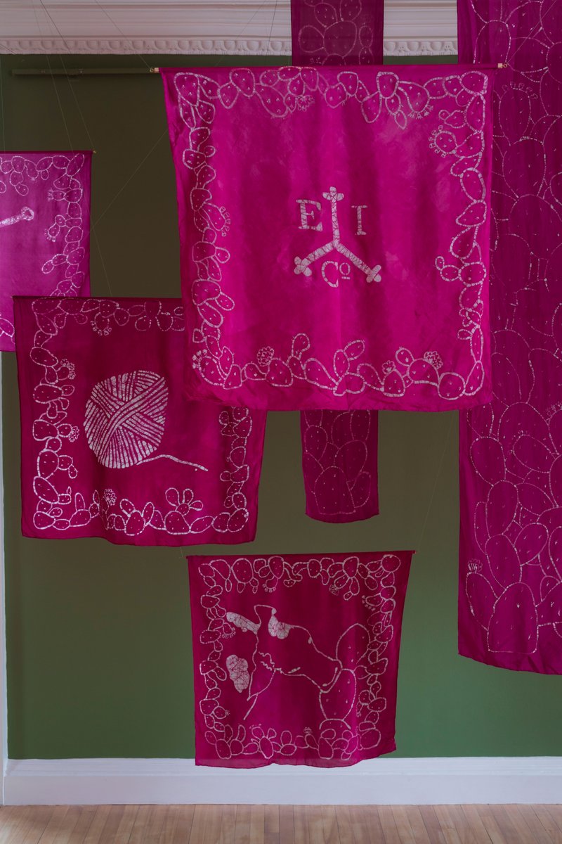 RBGECreative's tweet photo. 'Green Hell' explores how prickly pear carved out scenes of empire in multifaceted ways & tracks the failures of the British to establish a wealth-building cochineal dye industry in their colonial outposts.🌵
#ShippingRoots #KegdeSouza #InverleithHouse
@TheBotanics until 27 Aug https://t.co/f70N94LsEi