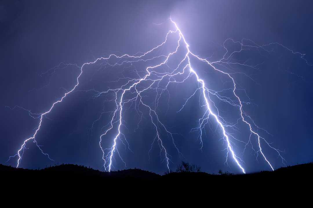 Nick Selway tweet media