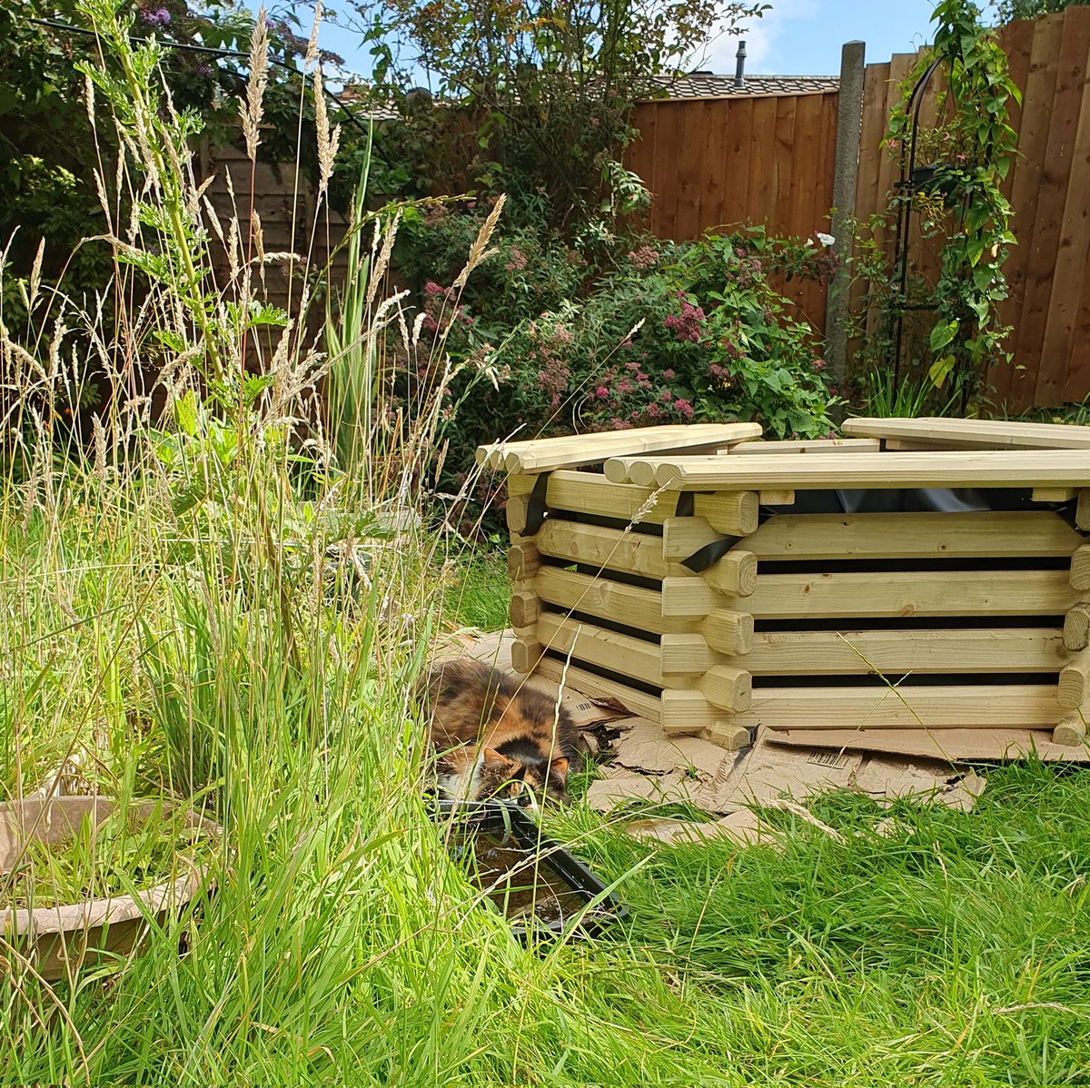 I is hiding!  #Caturday 
<a href="/planetpakua/">𝓖𝓪𝔂 𝓜𝓪𝓻𝓽𝓲𝓷𝓪 🕉 🐲 🐅🇺🇦 🚀🧑‍🚀</a> <a href="/kat3796/">Saint Kat & Gibbs 🇬🇧 🇺🇦</a> <a href="/littlekatmom/">Marsha😻</a> <a href="/Ms_Lilith999/">❤️🌈 In loving memory of our beloved Lilith 🌈❤️</a> <a href="/TiffyLaw3/">𝓣𝓲𝓯𝓯𝔂</a> <a href="/Miss_1999/">Christy Rach</a> <a href="/BlaineRincon/">Blaine Rincon</a> <a href="/KierstenWarren/">Kiersten Warren</a>