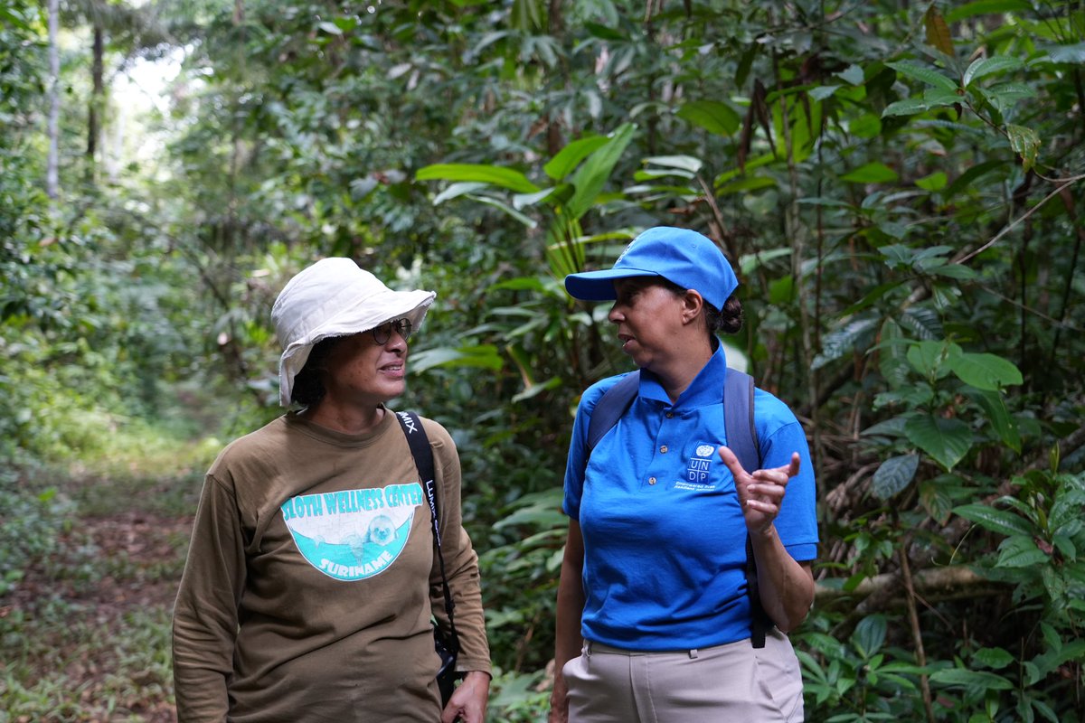 MargaretJonesW1's tweet image. Meeting with Chair of @theGEF #Suriname Small Grants Programme Steering Committee @moniquespool along with National Coordinator Eric, planning support to local #communities #ITPs. Trail walk on the edge of the  #Amazon and watching the release of a rescued, rehabilitated #sloth.