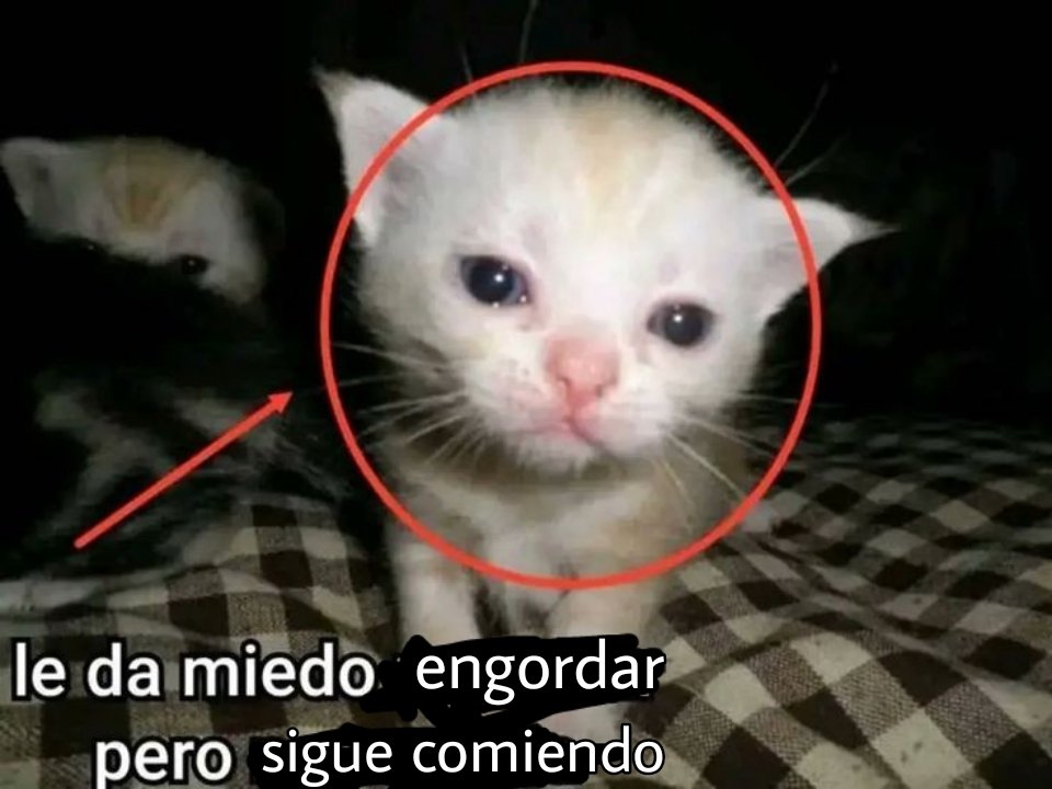 honeeey_pie's tweet photo. Yo https://t.co/azciJSA7Cd