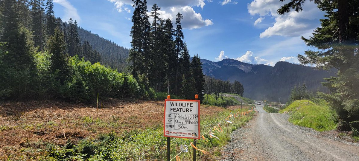 Pipeline construction, now, near the Coquihalla. Sign indicates this used to be an important area for wildlife.
Nature &amp; wildlife sacrificed for #oilandgas which cause more #globalwarming. 
<a href="/dogwoodbc/">Dogwood</a> <a href="/HopeStandard/">The Hope Standard</a> <a href="/CWF_FCF/">Canadian Wildlife Federation</a> <a href="/Liv_F/">West Coast Lass</a> <a href="/1308Trees/">1308Trees</a> <a href="/ttakaro/">Tim K Takaro</a> <a href="/CanadianPress/">The Canadian Press</a> <a href="/CTVVancouver/">CTV News Vancouver</a>