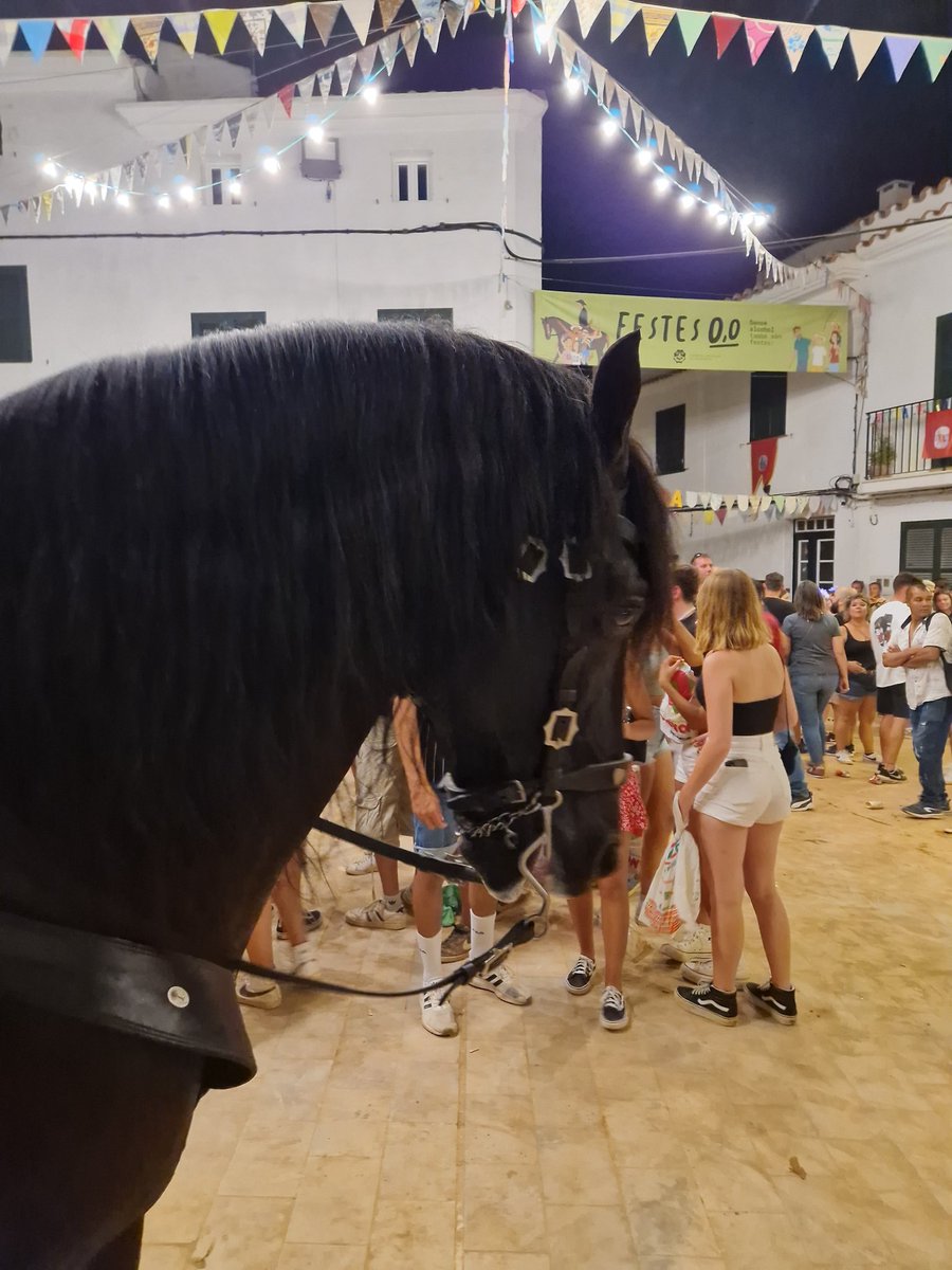 Tpons22's tweet photo. caballo
caballo beti https://t.co/EYwieGrMPG