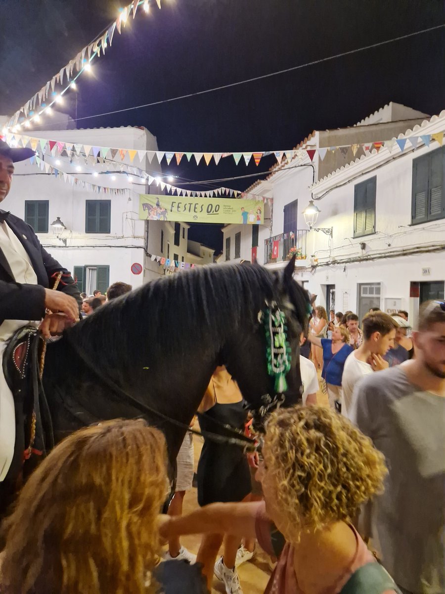 caballo
caballo beti