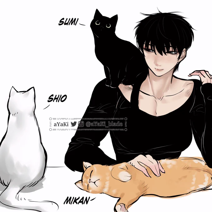 Her cats 