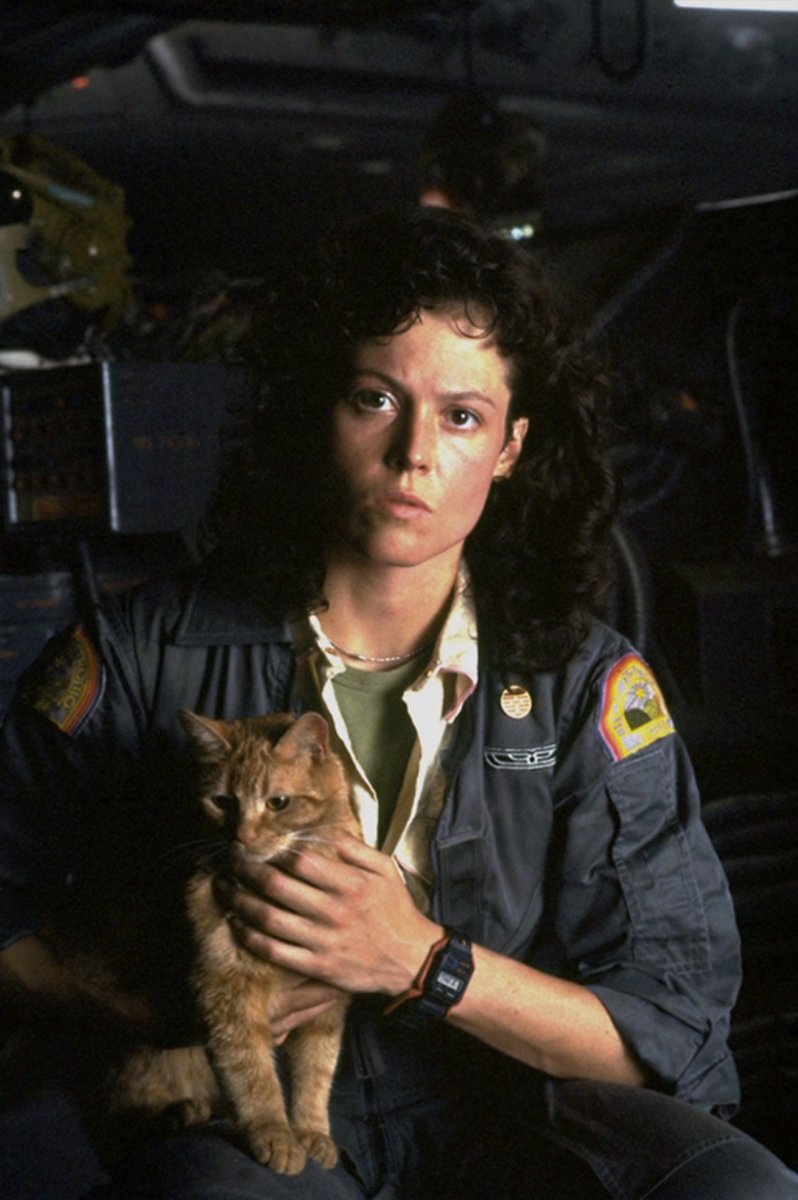 ULTRA💀BLAST (@ultrakillblast) on Twitter photo 