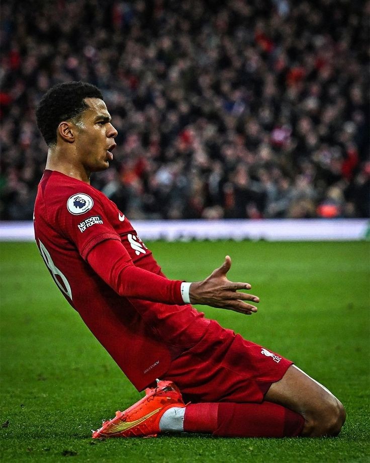 AnythingLFC_'s tweet photo. £72m for Hojlund
£100m for Antony
£100m for Mudryk
£60m for Richarlison
£100m for Grealish
£97m for Lukaku 

CODY GAKPO ONLY £35M 💫🇳🇱 https://t.co/0KKpt29XxK