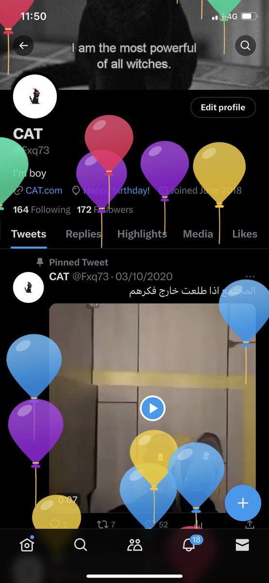 CAT tweet media