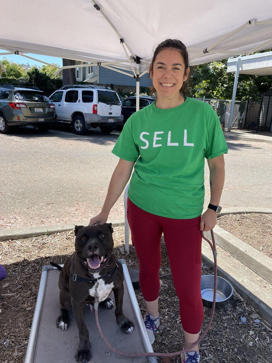 gelarettig's tweet photo. #DEREKTHEFOSTERDOG from @oaklandanimalservices agrees with me, that #johnfisher needs to #SellTheTeam 
#adoptdontshop #oakland #STAY #fosteringsaveslives #oaklandathletics https://t.co/RKOdmfgOYq