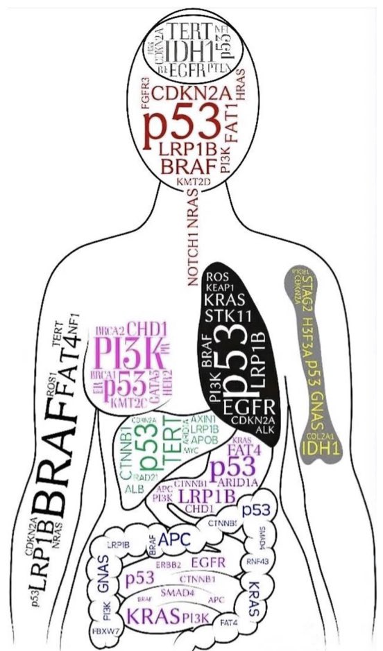 GENETICS ABNORMALITIES OF DIFFERENT CANCERS
