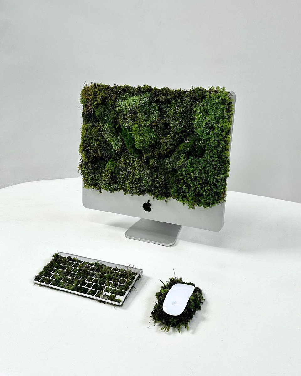 99REFERENCE tweet media