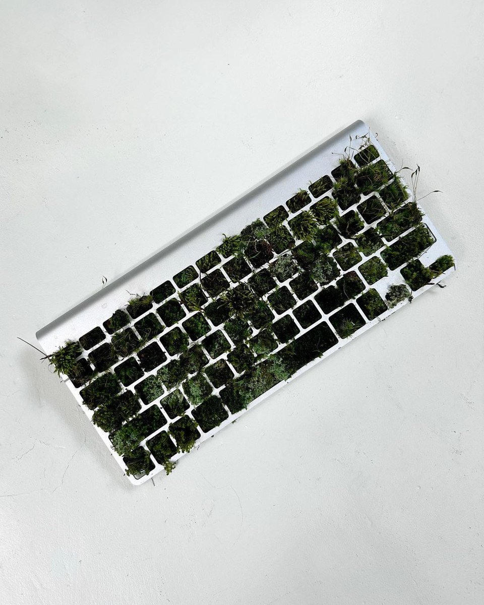 99REFERENCE tweet media