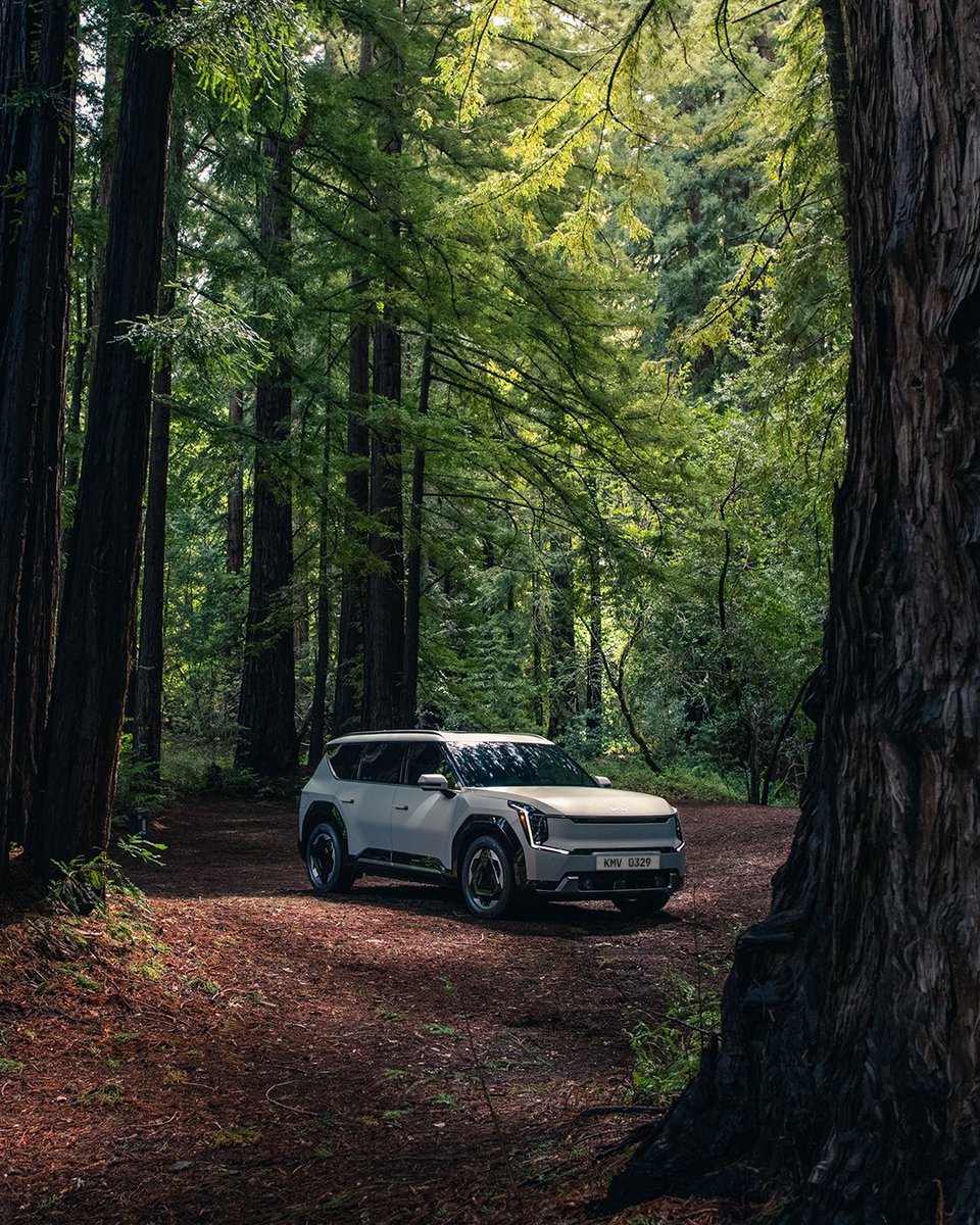 Kia Worldwide tweet media