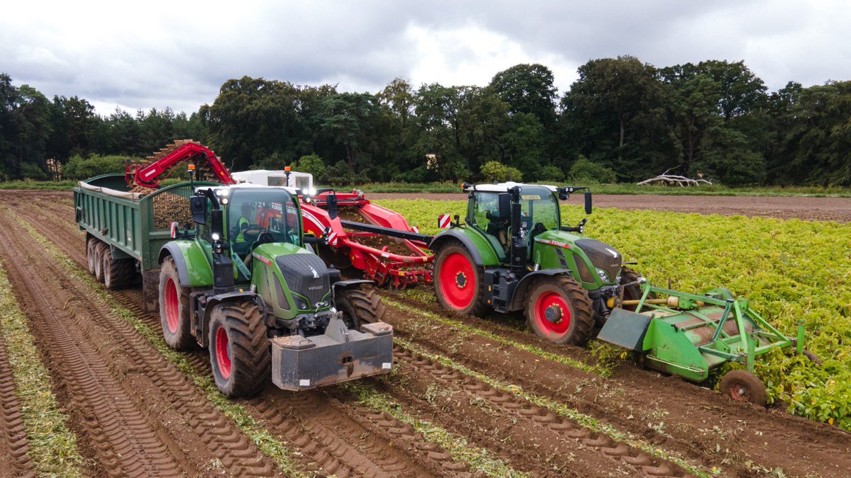 Anna Hunt tweet media