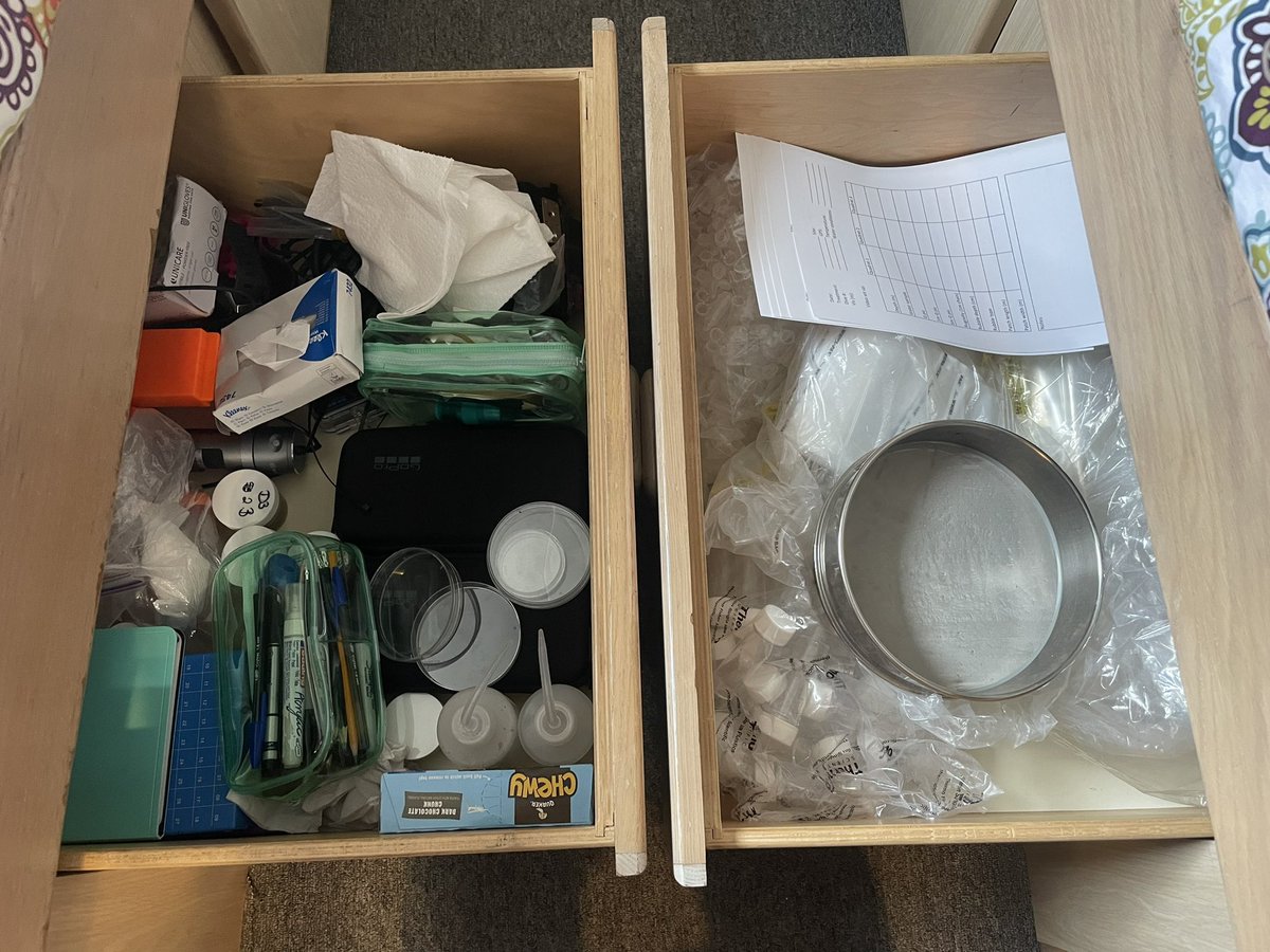 seebeneathesea's tweet photo. All the essentials are unpacked 😁#science #phdfieldwork #phdlife #rumpoweredresearch https://t.co/CxEjxqviqp