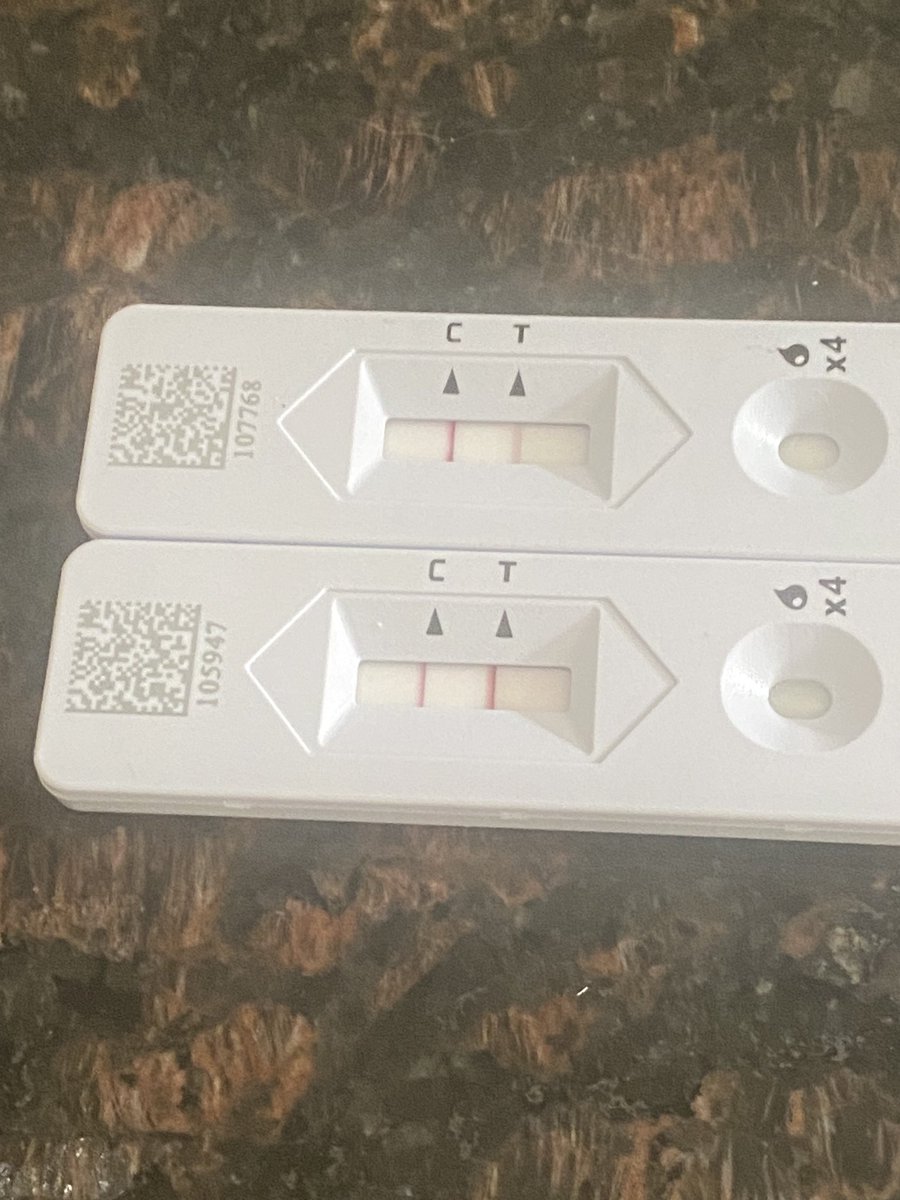 Squidplumber tweet media