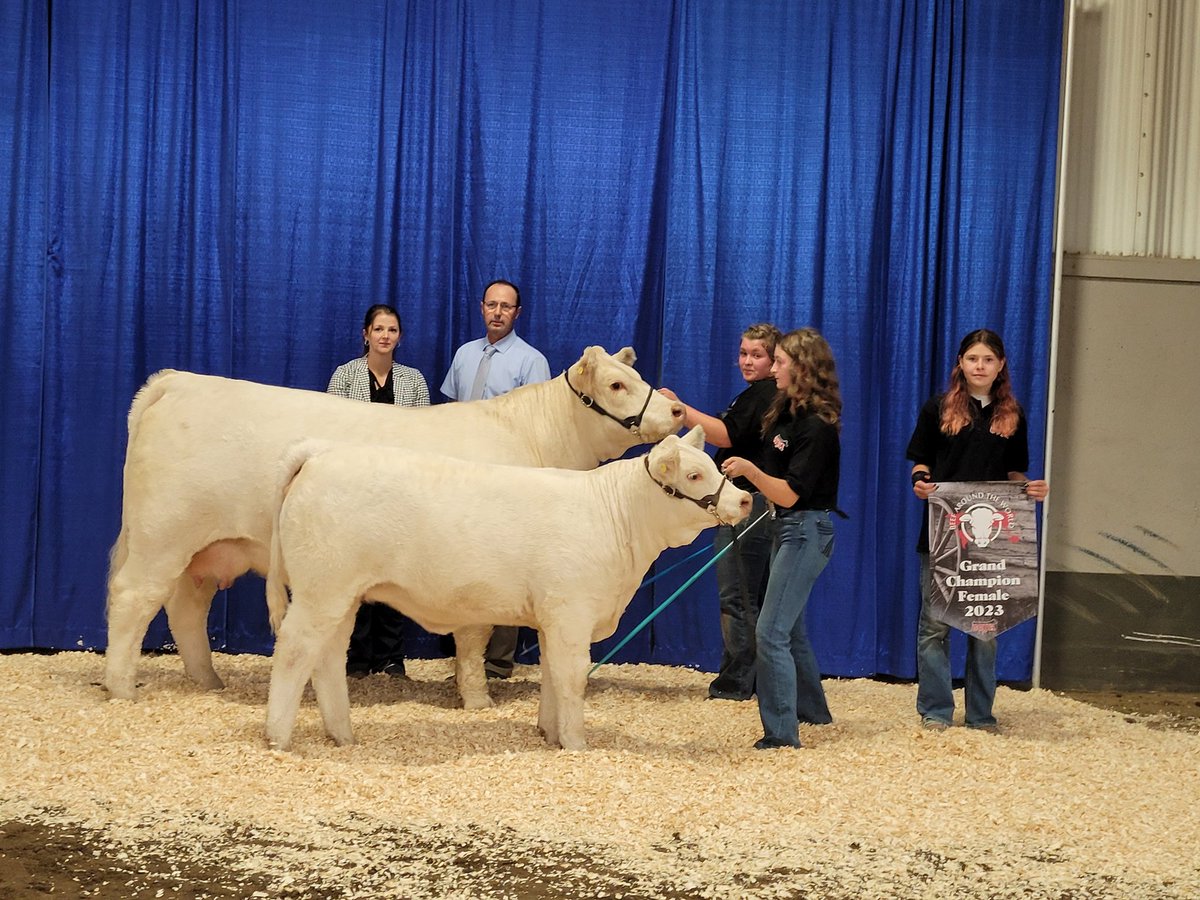 Candace By (@bycandace) on Twitter photo CCYA Grand Champion Female Beck's Dancer 60J exhibited by Jorja Beck, Milestone SK <a href="/canCharolais/">Canadian Charolais</a> #Charolais CCYA Grand Champion Female Beck's Dancer 60J exhibited by Jorja Beck, Milestone SK <a href="/canCharolais/">Canadian Charolais</a> #Charolais