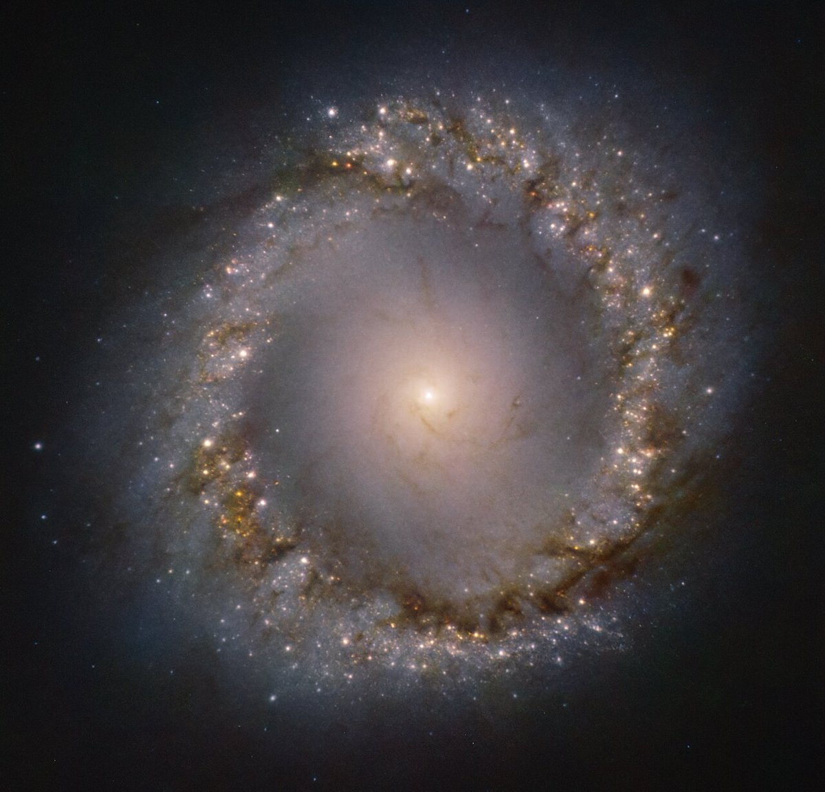 sarahsalviander's tweet photo. I am sometimes asked if becoming an astrophysicist and knowing the science behind celestial objects like this them makes them seem less awe-inspiring.

The answer is no. 

I am always awe-inspired by images like this. In fact, at this stage in my career and in my life, they are even more awe-inspiring.

That's partly because the deeper I go into the workings of nature, the more fascinating it gets. The physics of galaxy and star formation is beyond cool, y'all, but we don't even understand the half of it and we keep getting surprised by new discoveries. So, mystery still keeps things pretty spicy in science.

But it's also because I now believe that a Person ultimately created all of nature, including this wondrous structure inside a distant galaxy, and – even more astonishing – that He loves us, deeply and unconditionally.

Think about it. The Person who made this colossal ring of stars in a galaxy 45 million light-years from here loves us. He knows everything about us, and cares about every detail of our lives. There is nothing too trivial for Him. I find that so amazing that there are hardly words to describe it.

That realization cranked my awe-inspiration from pretty high to off-the-charts. I hope you feel something similar when you look at all that He made.

If you're curious, this image shows the inner ring of stars in galaxy NGC 1097. The full galaxy is shown below. Numerous supernovae have been observed in this galaxy, and it also has a few satellite galaxies. It's also classified as a Seyfert galaxy, which means it has an active supermassive black hole in its center.
