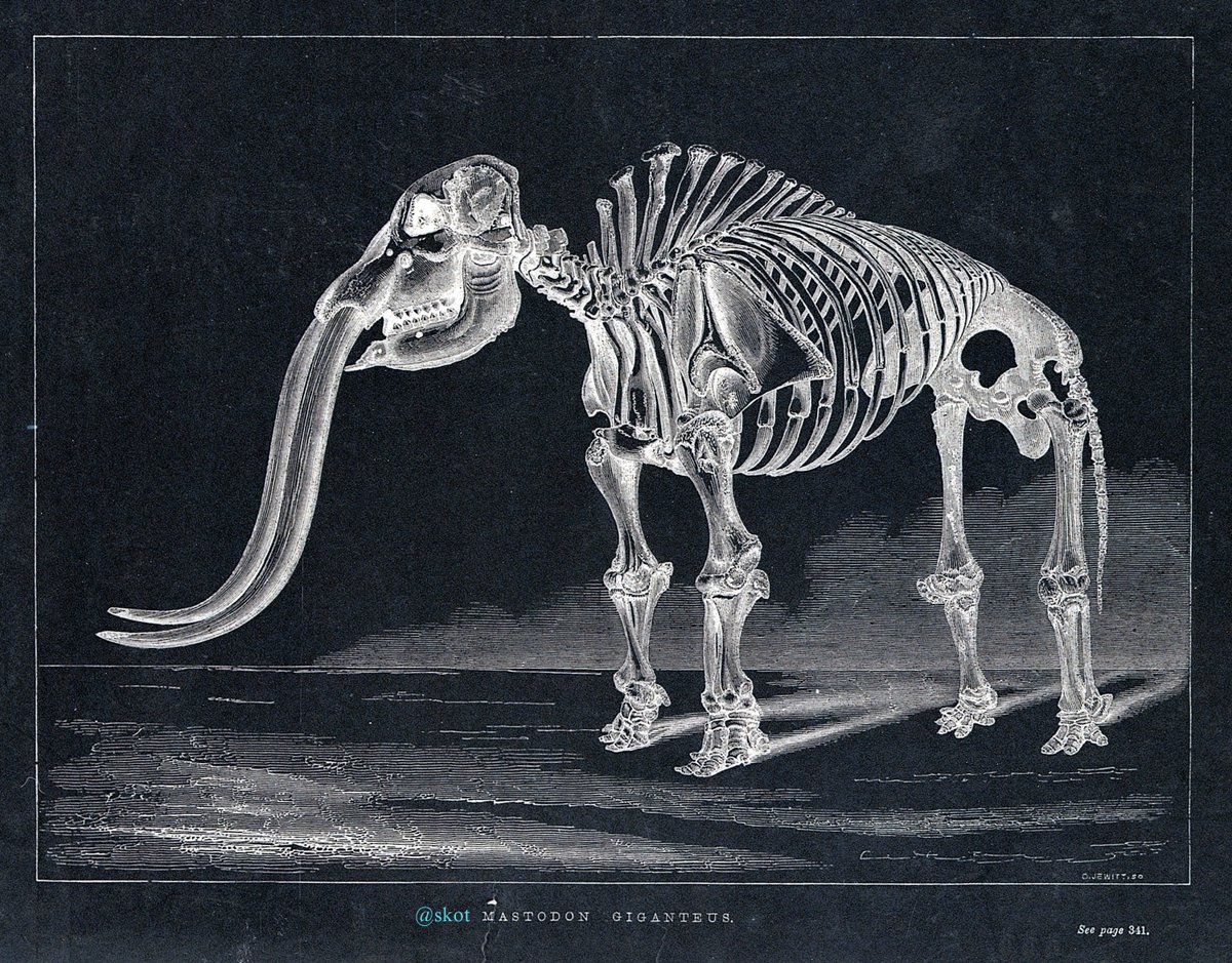 This way to the egress