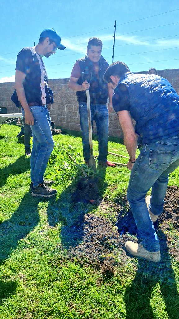 asoc_a's tweet photo. #reforesta2023 en #LosCántaros por @Jabanda00 en #coronango gracias!!! Bere #donación de 3 #fresnos y @ulisessher0 6 #truenos más #fibraDeCoco @RodrigoAbdalaD  construyamos #ciudad  vamos por #ODS2030 #AGUSTICIDAD #árbolesUrbanos @ArborismoC https://t.co/g2SiemLG3S