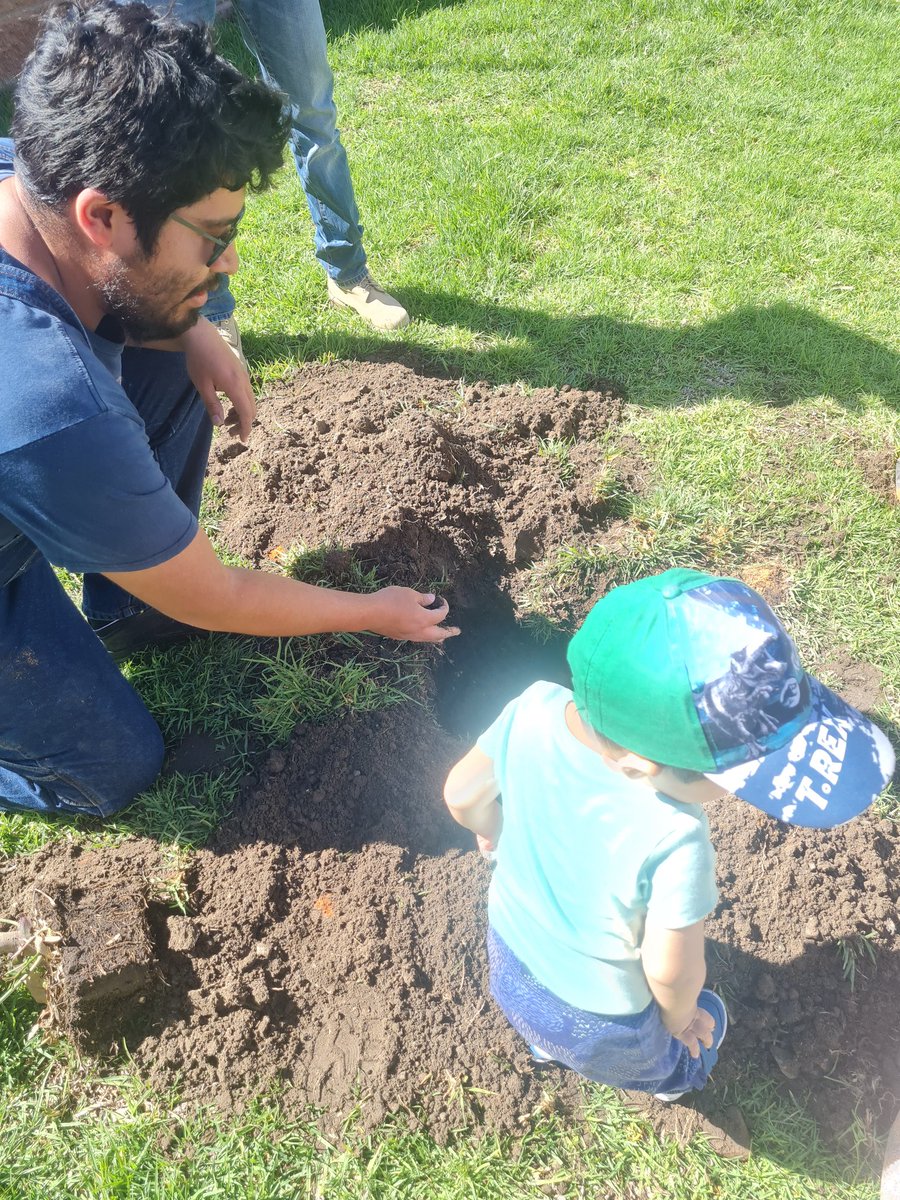 asoc_a's tweet photo. #reforesta2023 en #LosCántaros por @Jabanda00 en #coronango gracias!!! Bere #donación de 3 #fresnos y @ulisessher0 6 #truenos más #fibraDeCoco @RodrigoAbdalaD  construyamos #ciudad  vamos por #ODS2030 #AGUSTICIDAD #árbolesUrbanos @ArborismoC https://t.co/g2SiemLG3S
