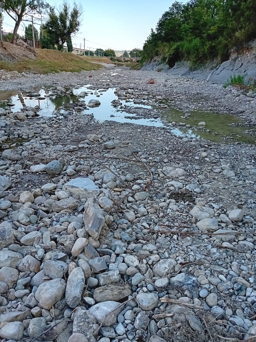 lastLoganX's tweet image. #Umbria opere di prevenzione dissesto idro geologico.
Hanno un disastro in un torrente che ospitava trote gamberi e granchi di fiume.
#Maledetti
