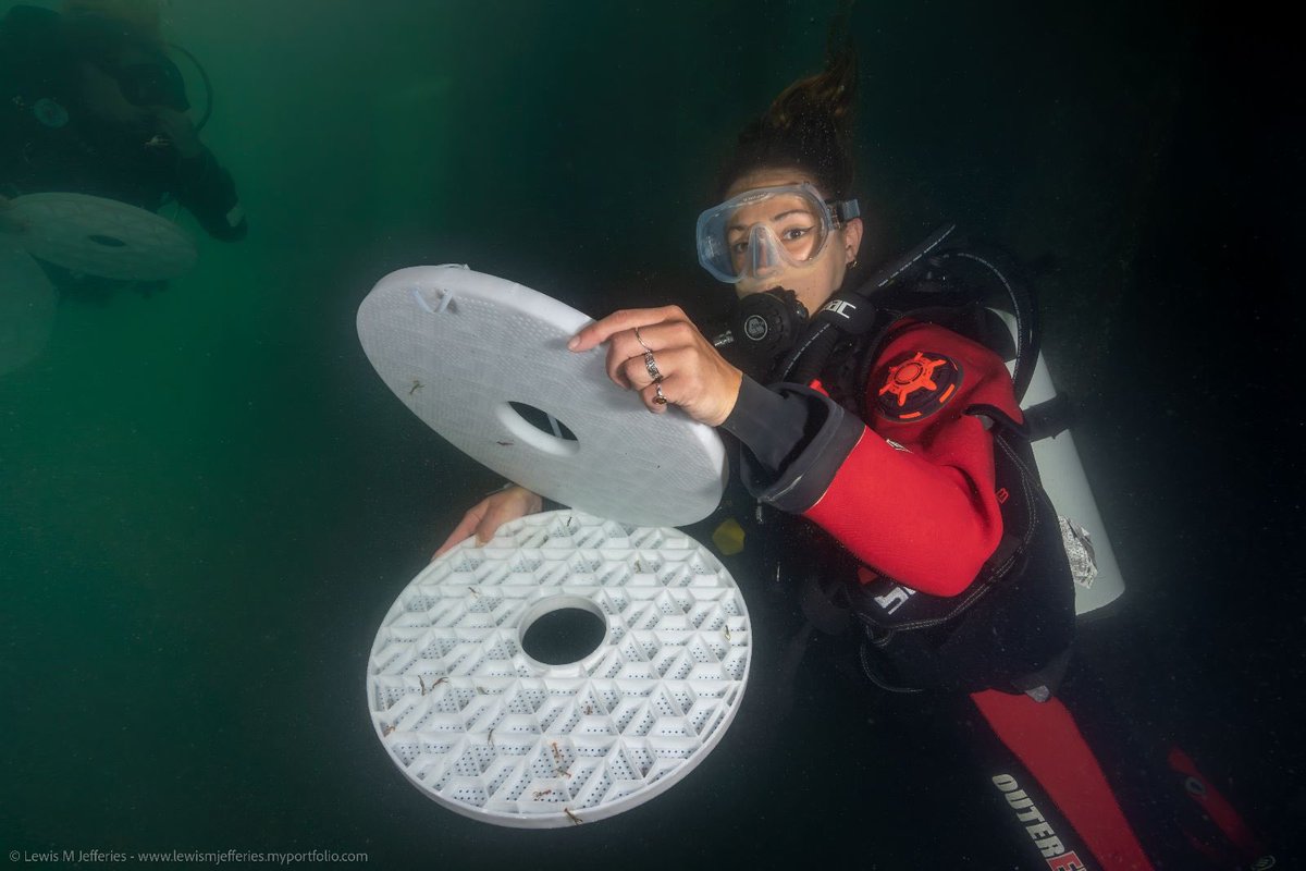 Tara Williams tweet media