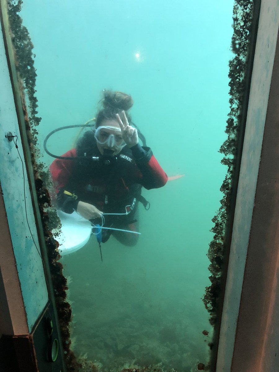 Tara Williams tweet media