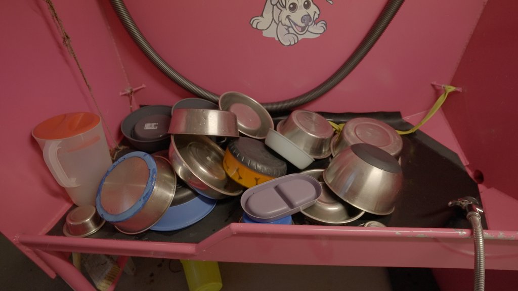 meetsaintpaul's tweet photo. Paul begins his each day by taking care of all the dogs who have are being boarded. First, it's cleaning up any accidents that may have happened overnight. Then, it's prepping each dog's food. 

Help us spread the word and tell Paul's story at https://t.co/7YFx58G1P5 
#dogs https://t.co/4Swq5UKpF5