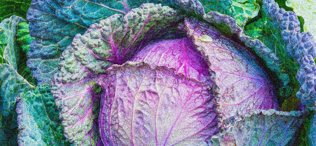 _innercompass's tweet photo. Read up on the essential role that #nutrition has played for many in optimizing #healing during #psychiatricdrug #withdrawal at The #WithdrawalProject. #comingoffpsychdrugs #TWP #GetInformed
https://t.co/Li4rFXN6s3 https://t.co/2HLrjk2sBd