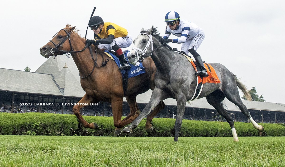 DRFLivingston's tweet photo. CARSON'S RUN (Cupid - Hot N Hectic, by Henry Hughes) made his debut a winning one, taking Saratoga's first race with @DavisJockey up. Moonlight was second.

CARSON'S RUN is owned by West Point TBs and Steven Bouchey. The colt is trained by Christophe Clement. https://t.co/Xbqpqg1EQa