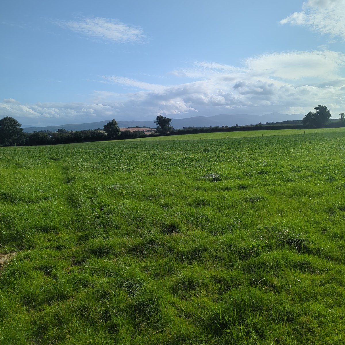 Sometimes less is more