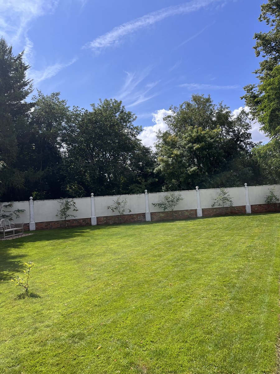 DH_Maintenance's tweet photo. Then onto these which I would have done yesterday - #largeleavedlime leaves are a #pain as too #anthills which I was luckily able to blow away from the #lawns. All cut &amp; #cleared but#leaves falling as quick as could clear them 🙈 https://t.co/IsbUvqOuAl
