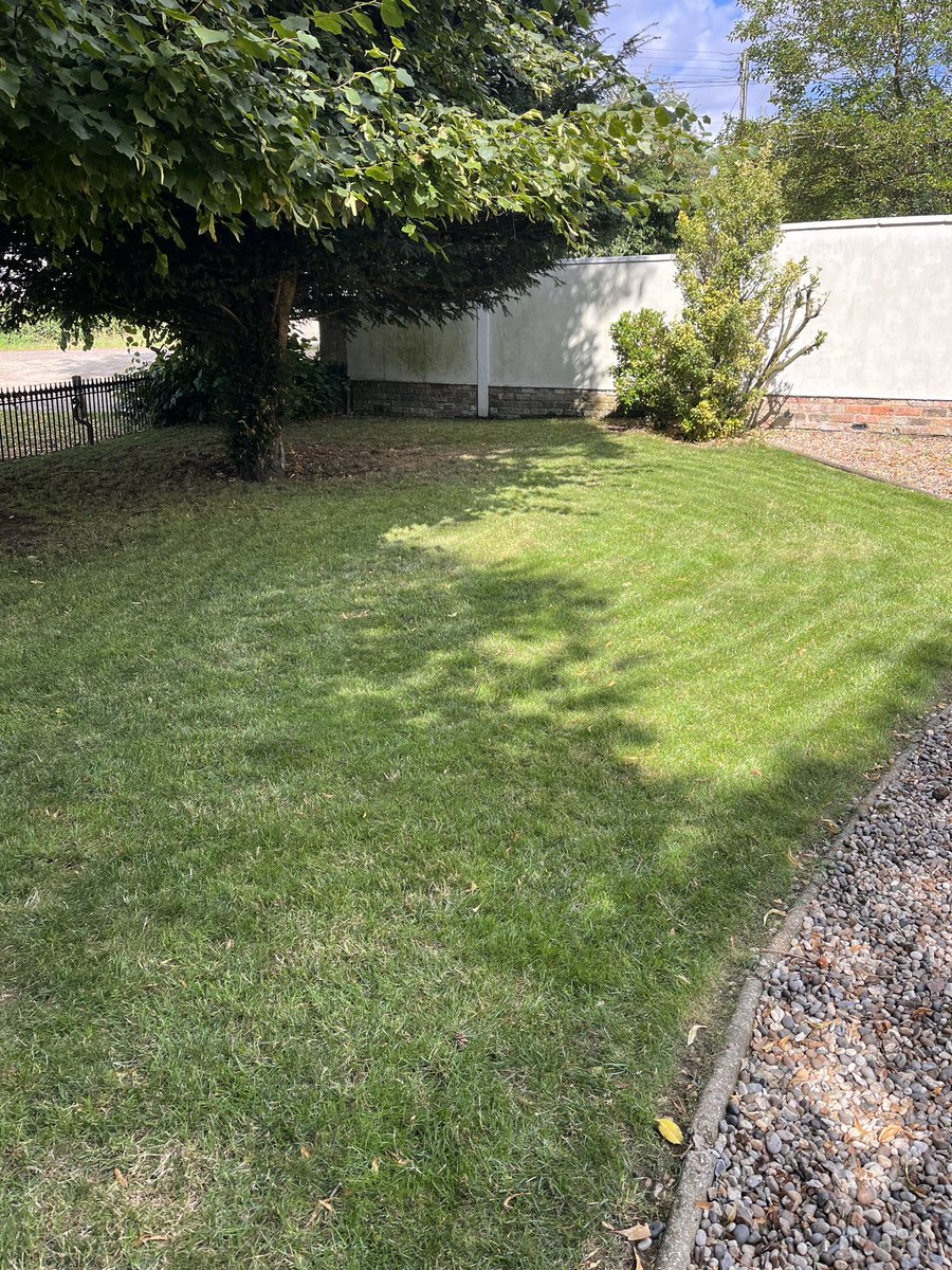 DH_Maintenance's tweet photo. Then onto these which I would have done yesterday - #largeleavedlime leaves are a #pain as too #anthills which I was luckily able to blow away from the #lawns. All cut &amp; #cleared but#leaves falling as quick as could clear them 🙈 https://t.co/IsbUvqOuAl